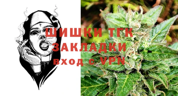 сатива Верея