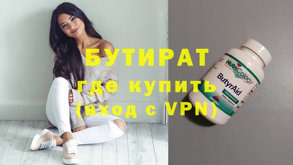 сатива Верея