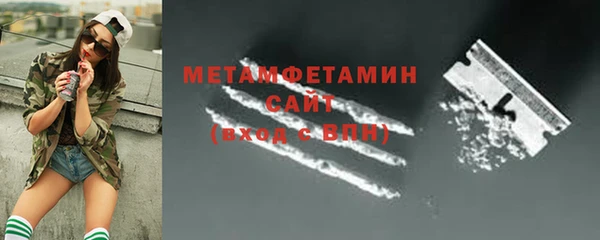 сатива Верея