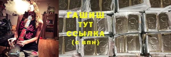 сатива Верея
