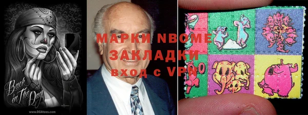 сатива Верея