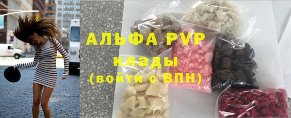 сатива Верея