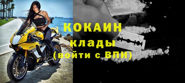 сатива Верея